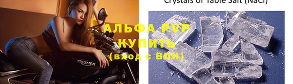 индика Богородицк
