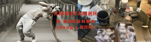 индика Бугульма