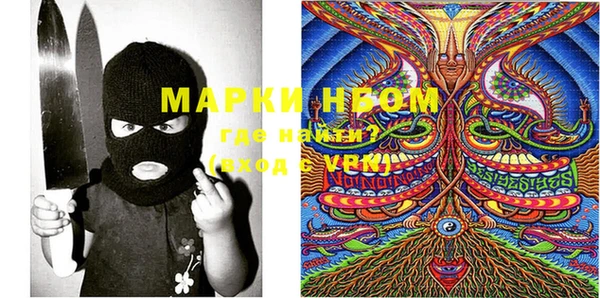 индика Бугульма