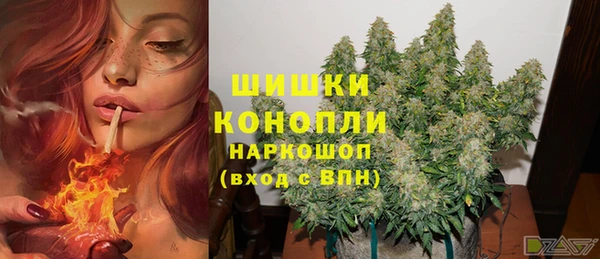 индика Бугульма