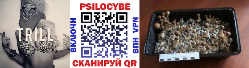 Псилоцибиновые грибы мицелий Киренск