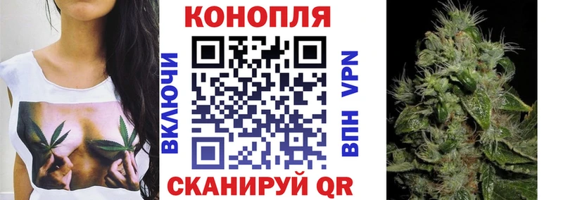 Бошки марихуана планчик  где найти наркотики  kraken   Киренск 